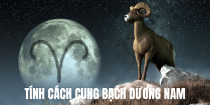 Tính Cách Cung Bạch Dương Nam