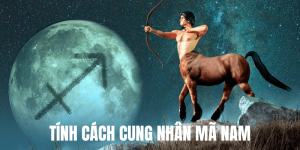 Tính Cách Cung Nhân Mã Nam