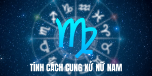 Tính Cách Cung Xử Nữ Nam
