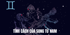 tính cách của song tử nam